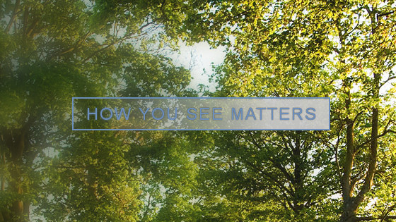 HOW YOU SEE MATTERS