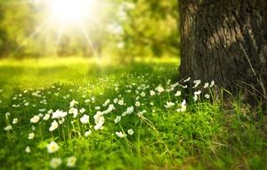 SPRING