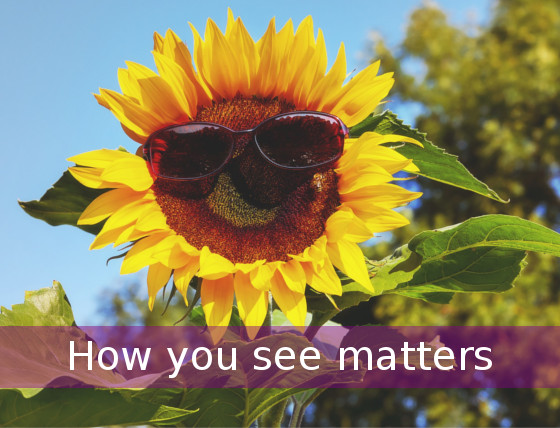 HOW YOU SEE MATTERS