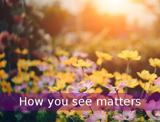 HOW YOU SEE MATTERS