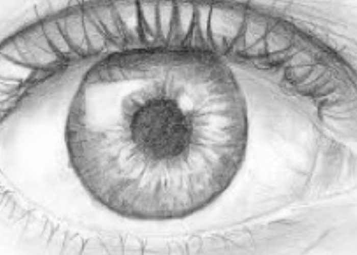 OPTOMETRY OF ALL THINGS………