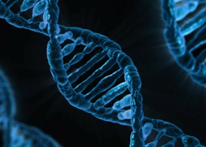 Hereditary Eye Disorders